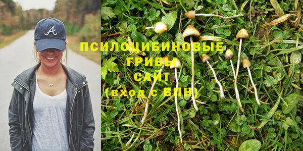 дурь Богданович