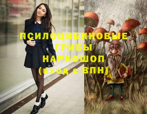дурь Богданович