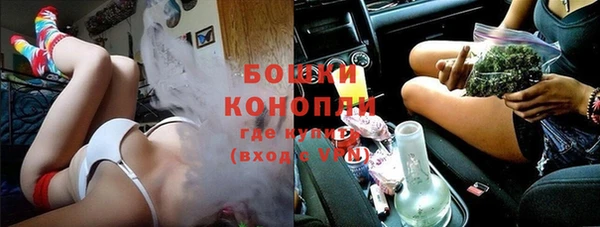 дурь Богданович