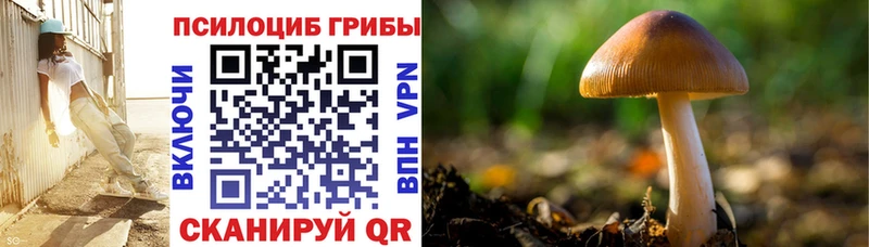 Галлюциногенные грибы MAGIC MUSHROOMS  Купить где  Мариинский Посад 